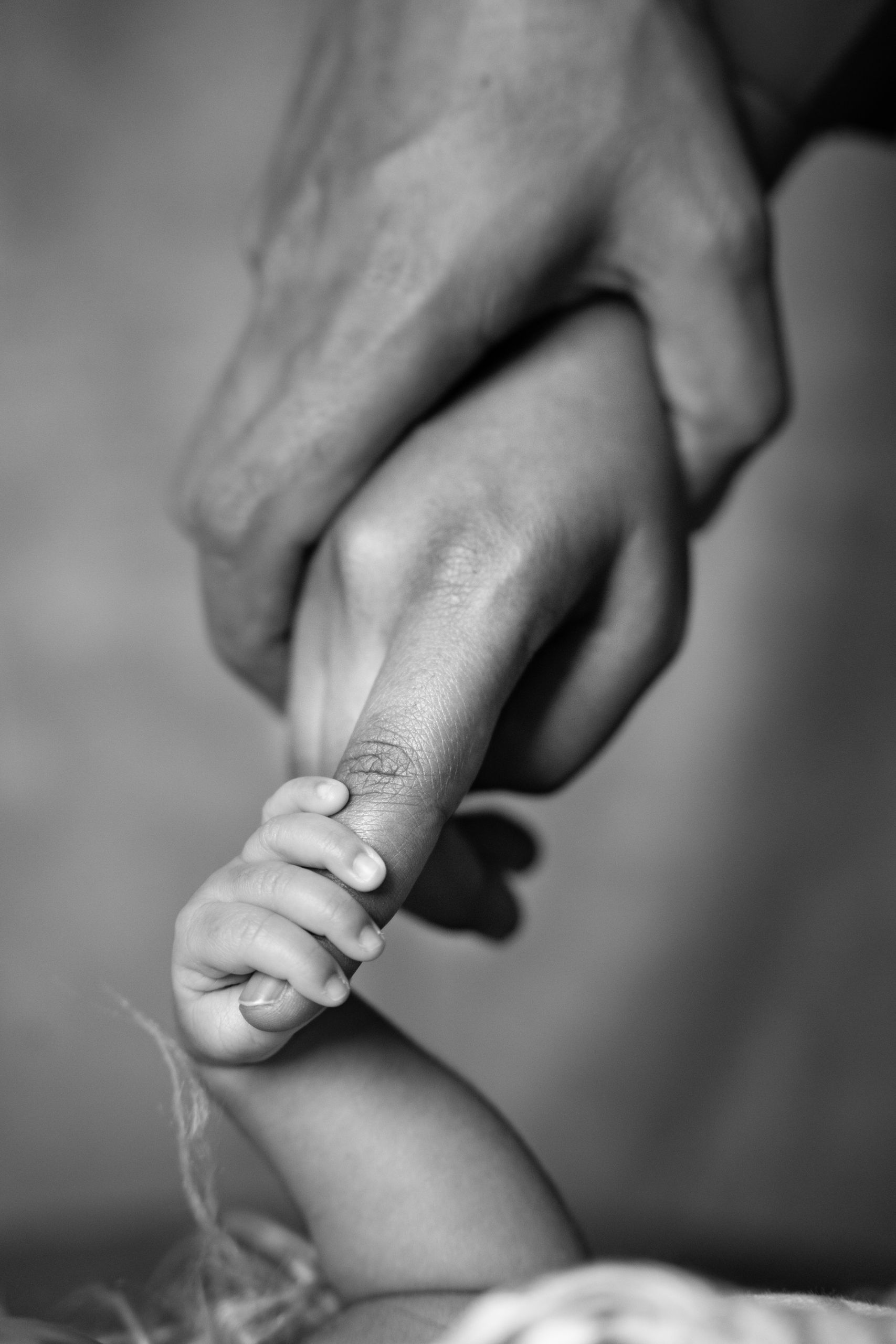 Black and white image showing the tender bond between an adult and a baby's hands.
