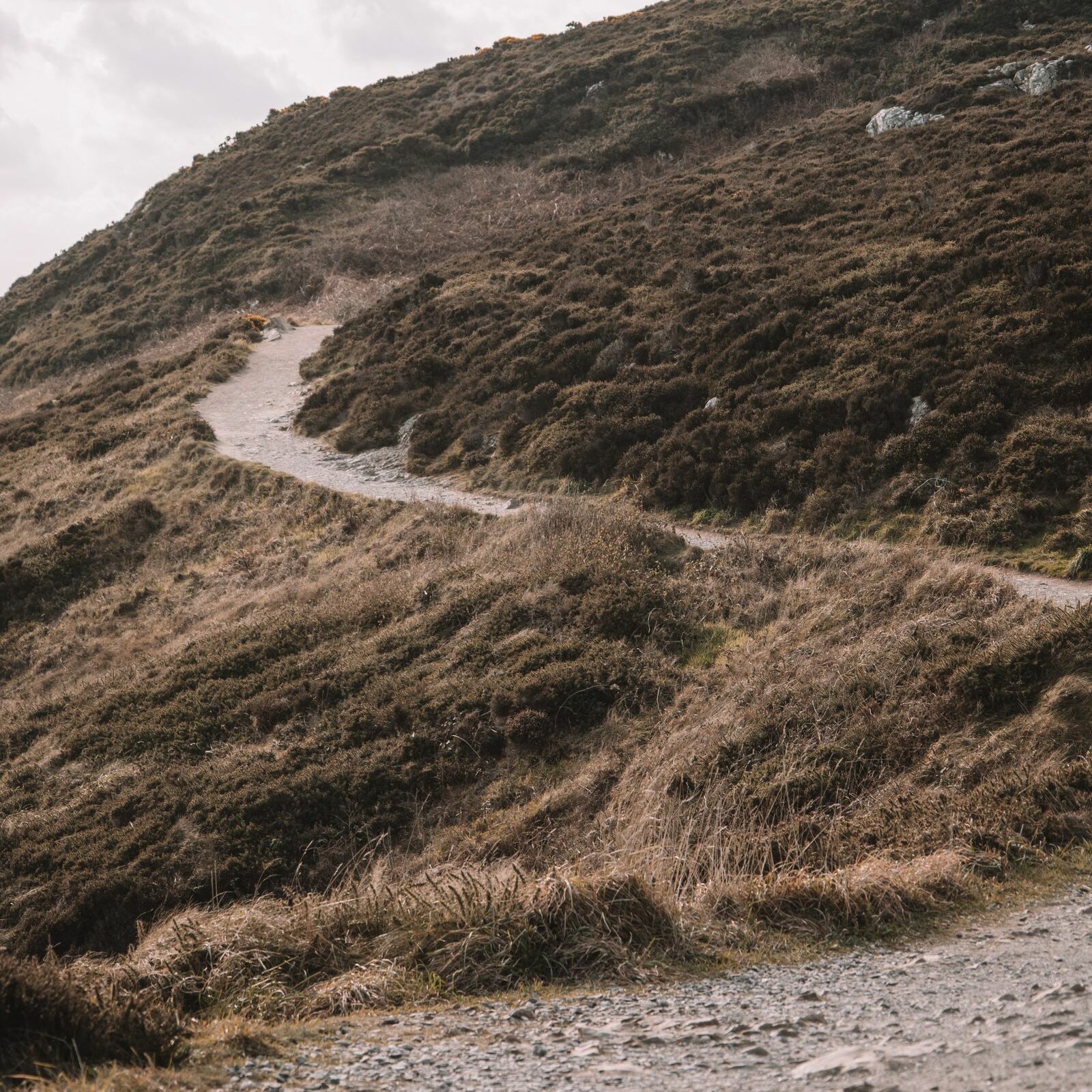 Winding path through hilly natural terrain near Dublin, Ireland on a cloudy day.